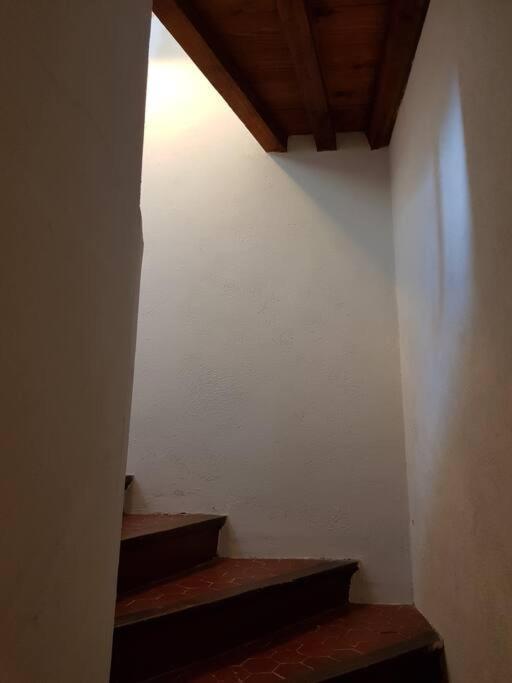 Appartement Pres Des Plages Du Mourillon Toulon Exterior photo
